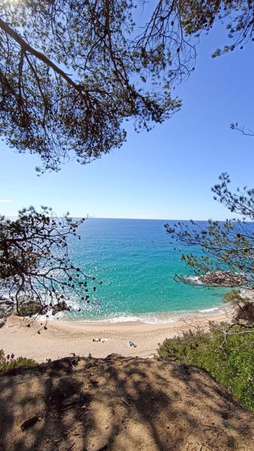 Kalma Daro Apartments Platja d'Aro Exterior foto